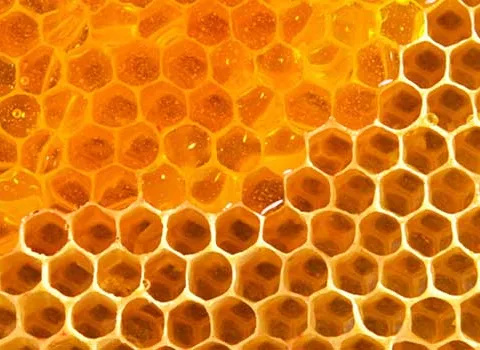 قیمت خرید عسل شهد طلایی طبیعی عمده به صرفه و ارزان